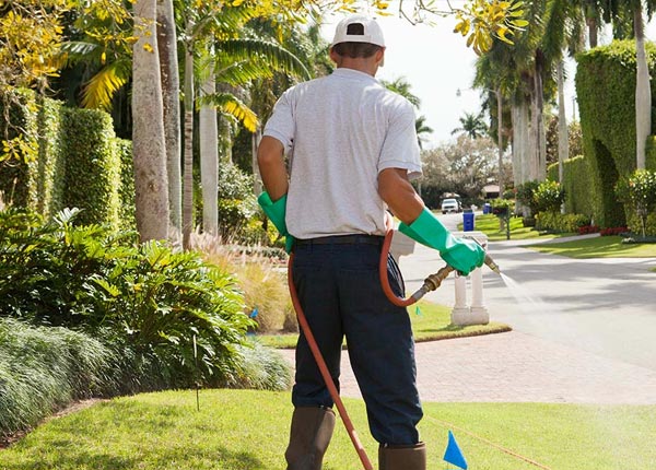 About Avon CT Pest Control